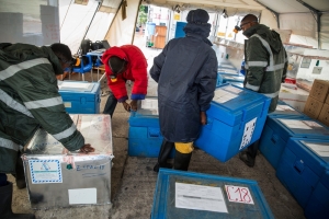 MSF Yellow Fever Vaccination in Kinshasa, DRC