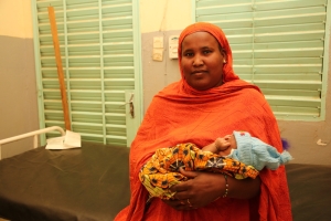 Services in the referral hospital in Ansongo