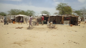 Niger: thousands displaced from Lake Chad
