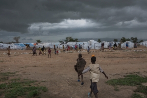 Crisis in Borno, Nigeria