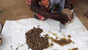 Bio-briquettes in Nigeria