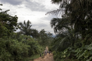 General view outside Amana village, Cross River State