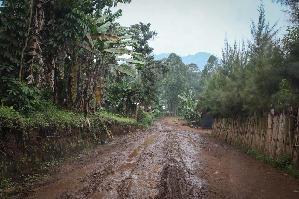 MSF works in Bambo