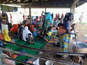 Cameroon - clashes in the Logone Birni area