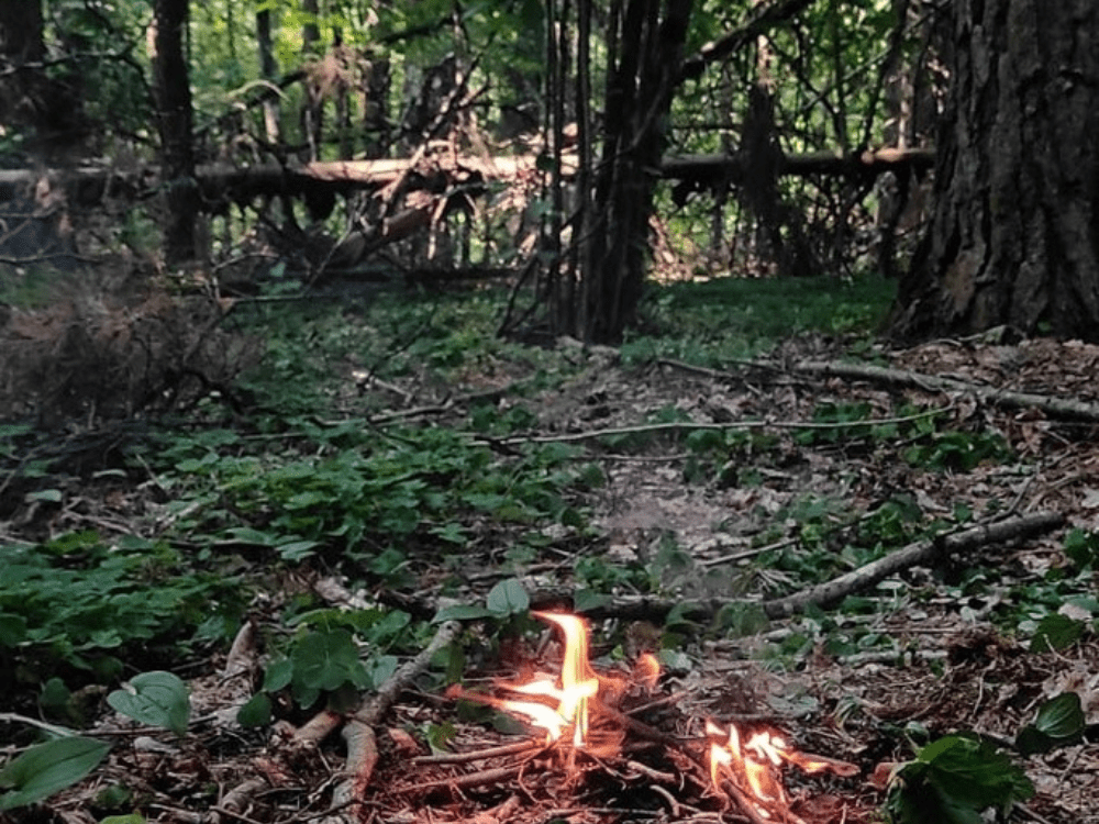 Una fogata encendida por las personas desplazadas en las zonas fronterizas boscosas de Lituania y Bielorrusia para mantenerse calientes.