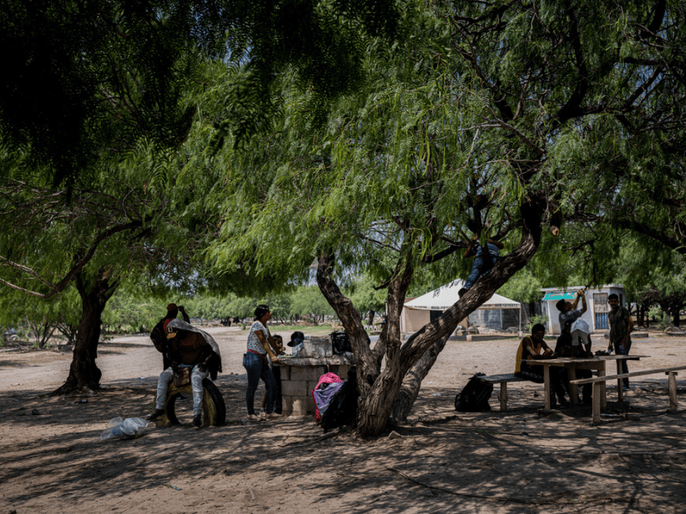 MSF brinda asistencia sanitaria a la población m igrante en Reynosa, México