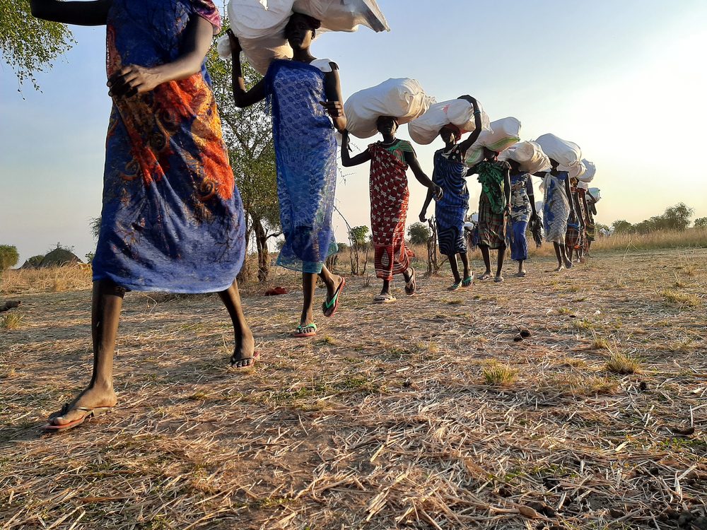 Emergencia en Jonglei, Sudán del Sur