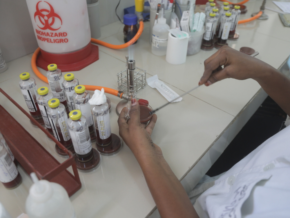 n técnico de laboratorio de MSF de bacteriología en CSREF Koutiala, Mali.