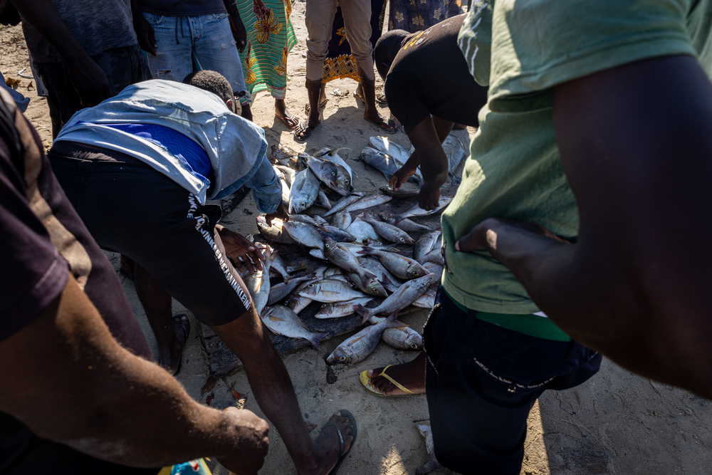 MSF reanuda actividades sanitarias en Macímboa da Praia, Cabo Delgado, Mozambique