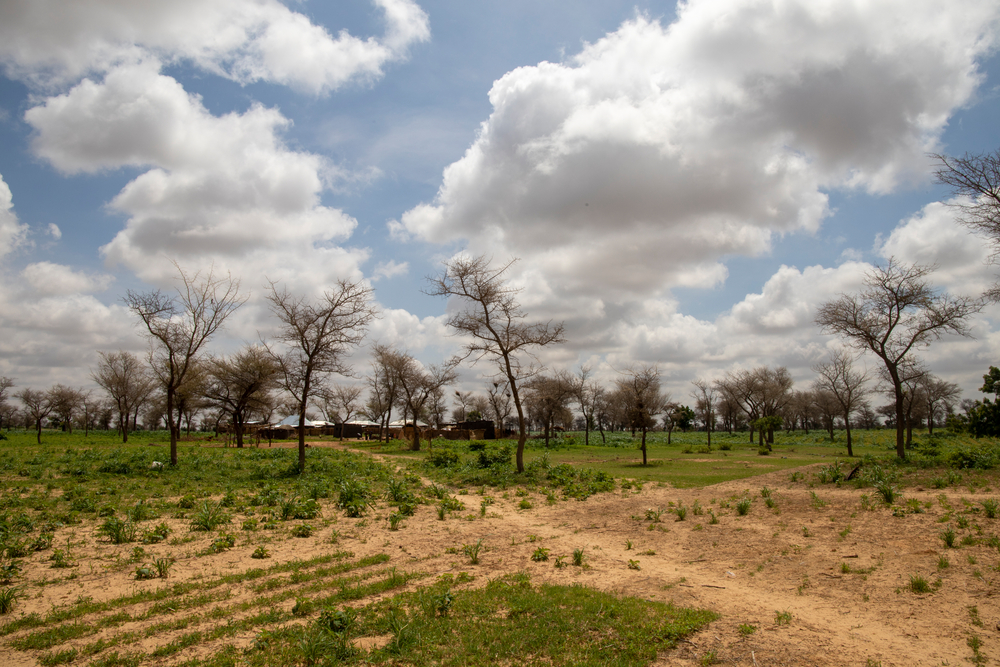 Níger: el cambio climático añade más dificultades a los más vulnerables