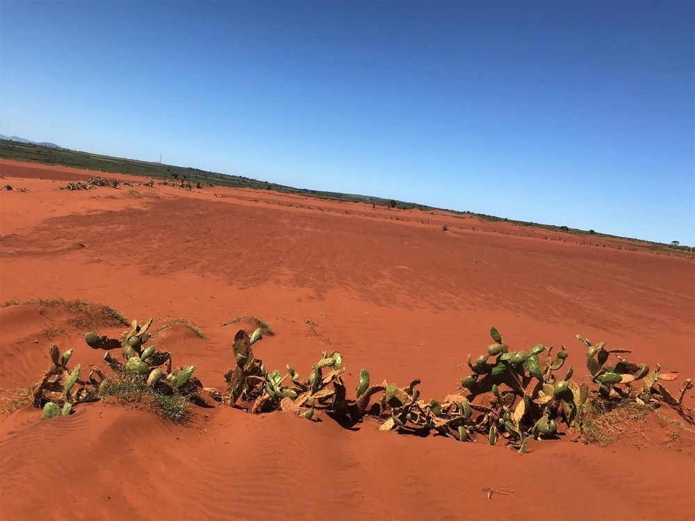 Crisis climática en Madagascar