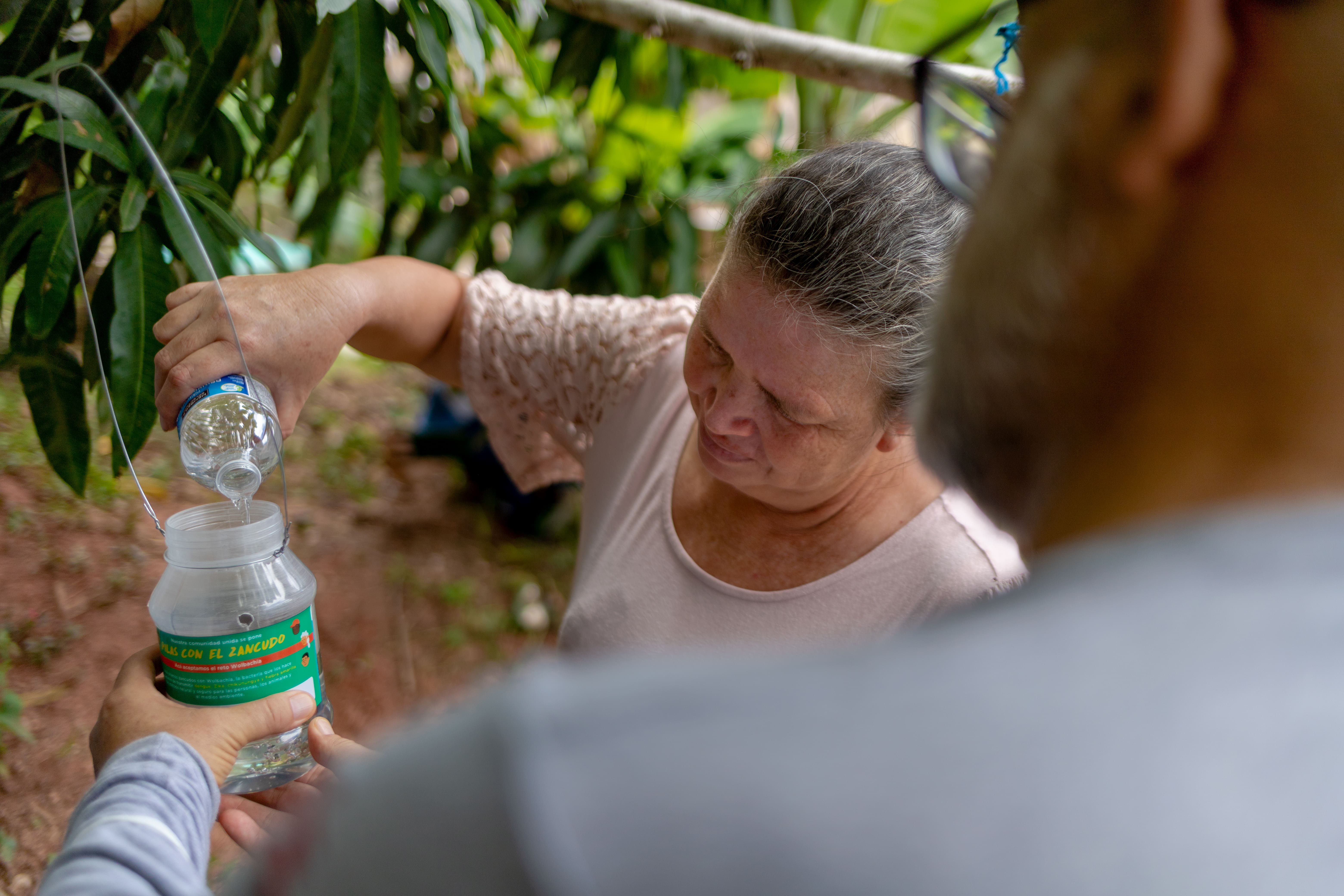 Médicos Sin Fronteras concluye con éxito las liberaciones de mosquitos con Wolbachia en Tegucigalpa, Honduras