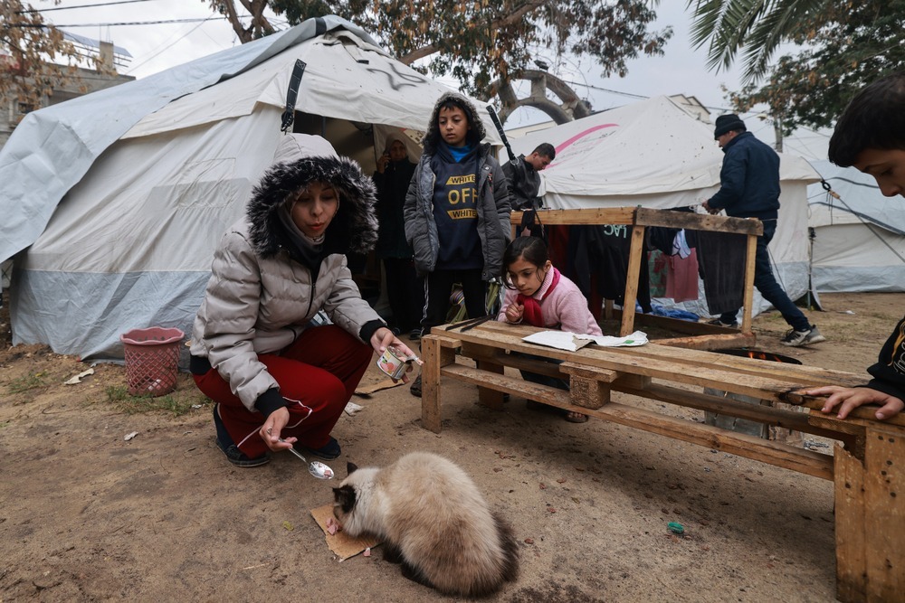 MSF continúa apoyando el Hospital Indonesio de Rafah