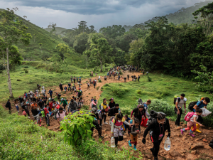 Médicos Sin Fronteras, obligada a suspender atención médica a migrantes en el Darién panameño