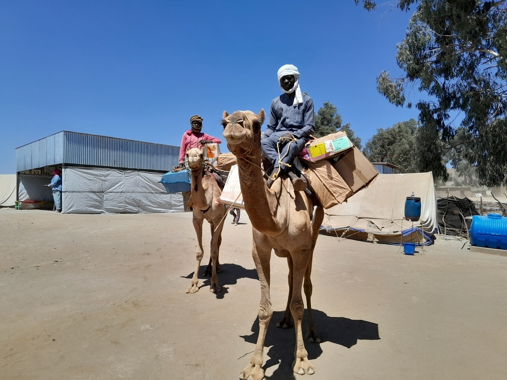 En Jebel Marra MSF envía suministros médicos en camello