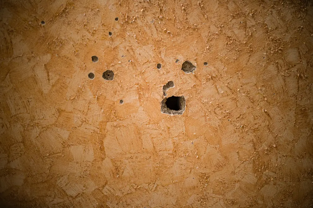 Pared con agujeros de bala. Durante la última incursión, los soldados israelíes irrumpieron en la casa de Anwar.  