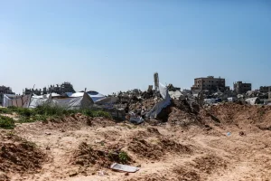 Escombros y tiendas de campaña improvisadas dominan el paisaje en la Franjade Gaza. Entre los escombros crecen plantas silvestres, una de las pocas fuentes de alimento que quedan.