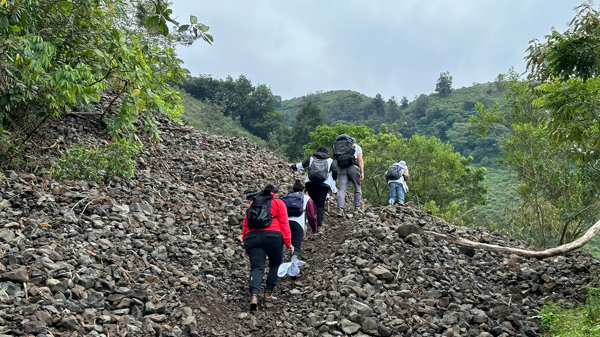 Muchos de los caminos en la Sierra de Hidalgo quedaron severamente afectados, por lo que los equipos tuvieron que caminar por horas para llegar a la población objetivo. 