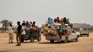 Varios grupos de personas desplazadas llegan a la localidad de Tawila huyendo de la violencia, los bombardeos y la escasez de alimentos. Proceden sobre todo de El Fasher y de campamentos cercanos, como Zamzam y Abu Shok. Sudán © MSF