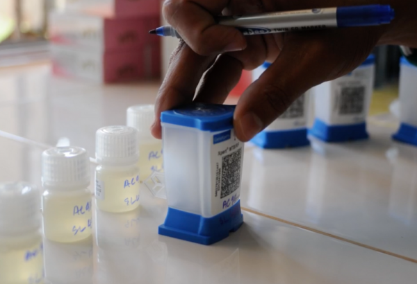 MSF pedimos a Cepheid y Danaher que trabajen para lograr mayores reducciones de precios de los otros cartuchos.