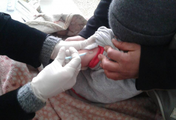 mishmishan_vaccination_1