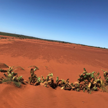 Crisis climática en Madagascar