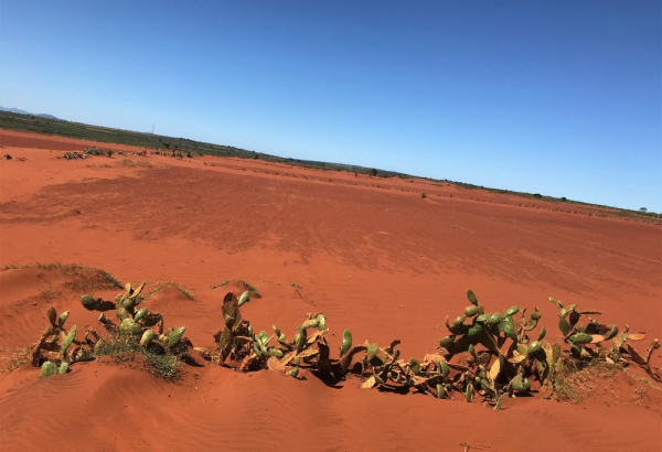 Crisis climática en Madagascar