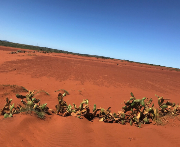 Crisis climática en Madagascar