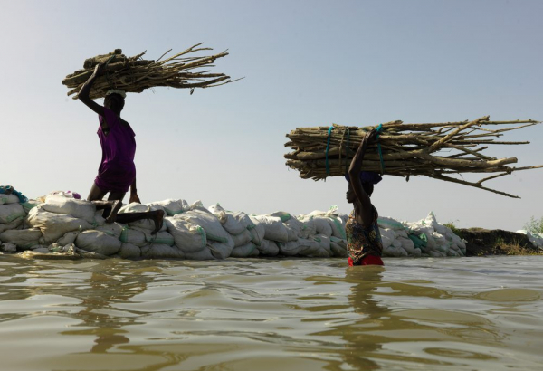Foto de archivo: La madera es recolectada por mujeres en Rubkona en Sudán del Sur. Las inundaciones han devastado Unity State y las actividades generadoras de ingresos, como la recolección de leña, se han vuelto cada vez más difíciles. Mayo de 2022 ©Peter Caton