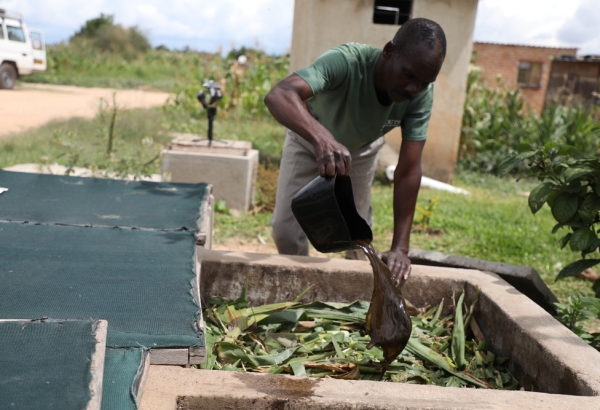 Un hombre cuidando el compostador en Zimbabue