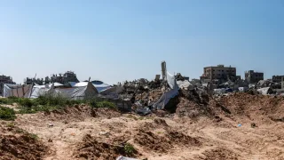 Escombros y tiendas de campaña improvisadas dominan el paisaje en la Franjade Gaza. Entre los escombros crecen plantas silvestres, una de las pocas fuentes de alimento que quedan.