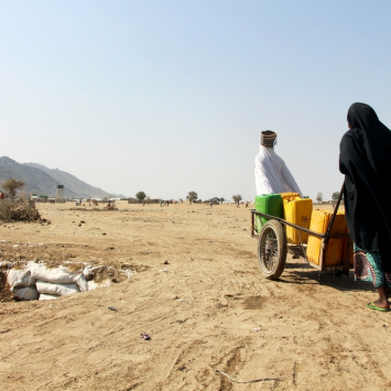 Carrying water from boreholes in Pulka IDP camp