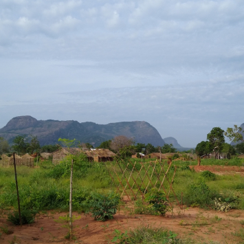 The growing impact of the conflict in Cabo Delgado