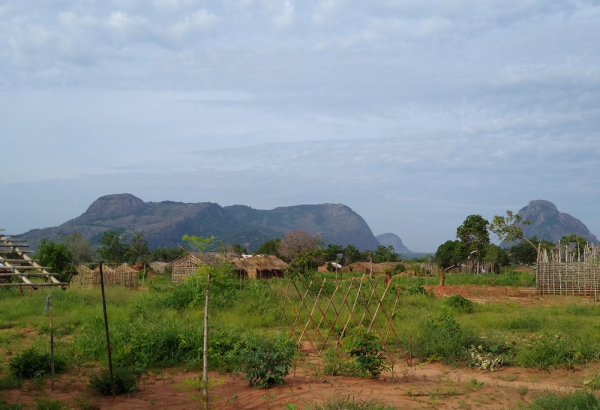 The growing impact of the conflict in Cabo Delgado