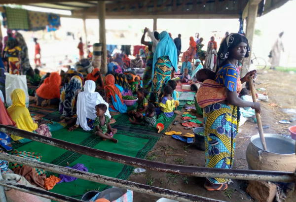 Cameroon - clashes in the Logone Birni area