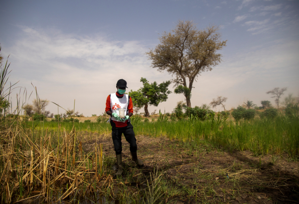 Niger: Treating water in communities to prevent malaria