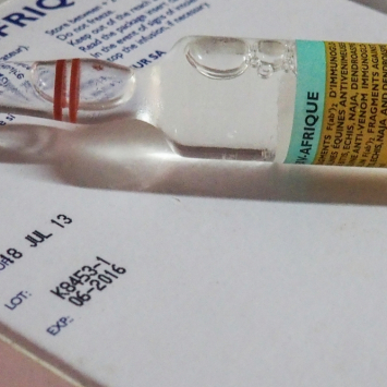 Snakebite: little hope of a cure for the most vulnerable.