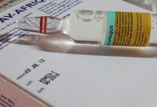 Snakebite: little hope of a cure for the most vulnerable.