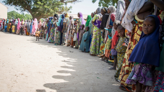 Situation in Borno state, November 2016