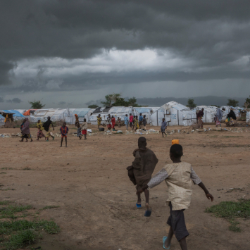 Crisis in Borno, Nigeria