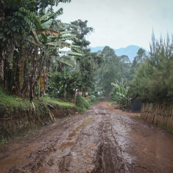 MSF works in Bambo
