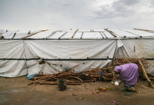 Shelter situation in Pulka, Nigeria