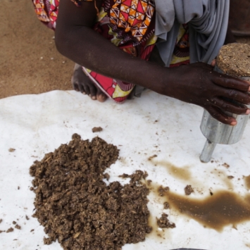 Bio-briquettes in Nigeria