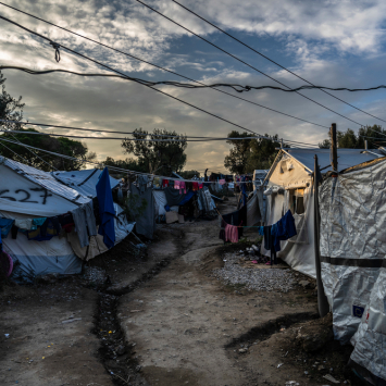 Moria's olive grove