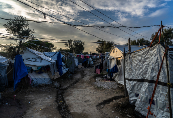 Moria's olive grove