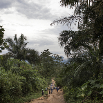 General view outside Amana village, Cross River State