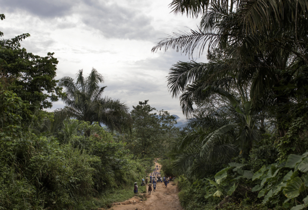 General view outside Amana village, Cross River State