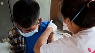 msf279548_medium.jpg