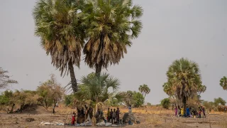 Familias desplazadas por la violencia reciente viven bajo palmeras en Thanakuach, estado de Jonglei, Sudán del Sur.