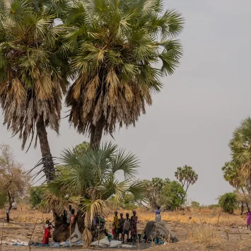 Familias desplazadas por la violencia reciente viven bajo palmeras en Thanakuach, estado de Jonglei, Sudán del Sur.
